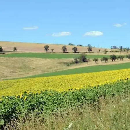 Lejlighed Wohnhaus Sued