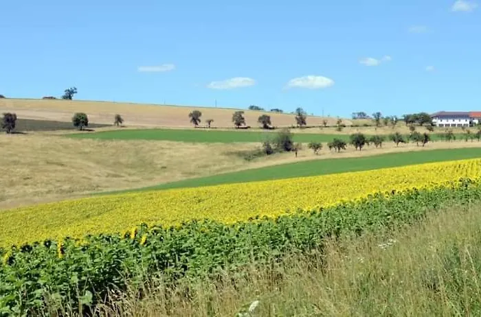 Apartamento Wohnhaus Sued