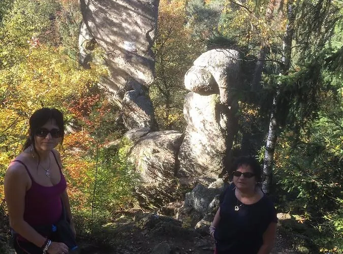 Wohnhaus Sued Διαμέρισμα *